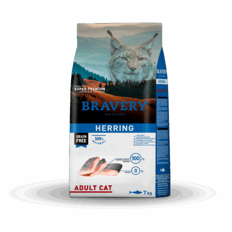 HERRING ADULT