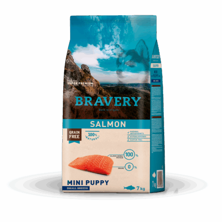 SALMON MINI PUPY