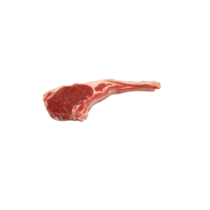 CORDERO