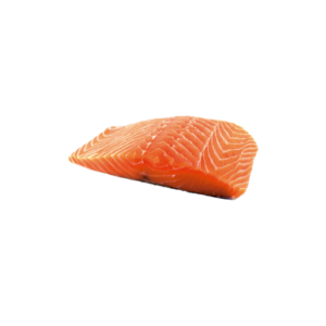 SALMÓN