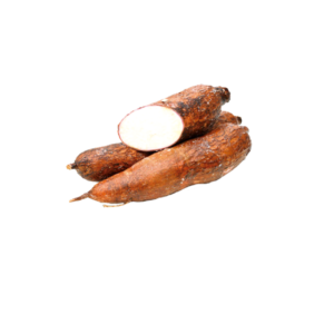 TAPIOCA