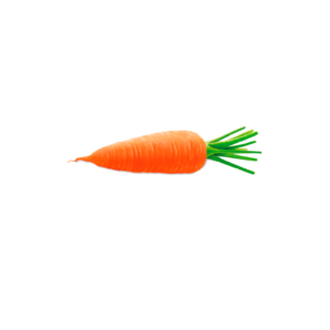 ZANAHORIA
