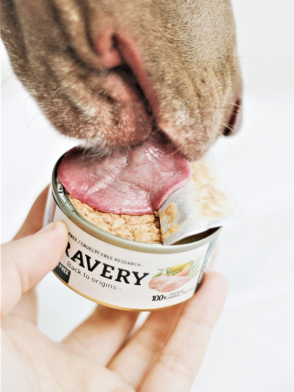 comida húmeda para perros