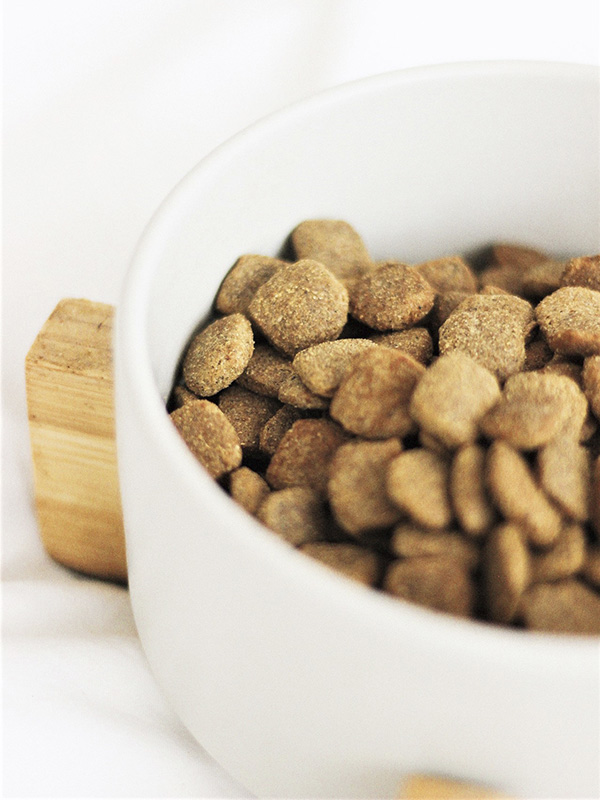croquetas mascotas