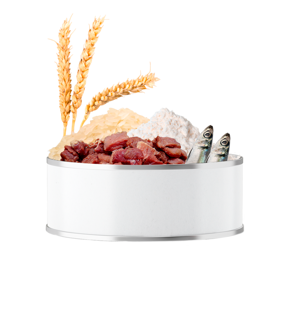 Home Bravery 18 alimento perros