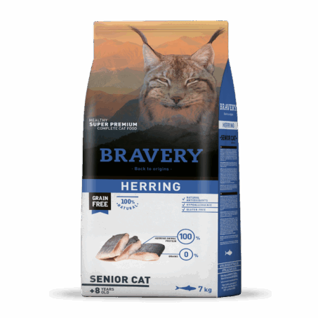Bravery herring senior