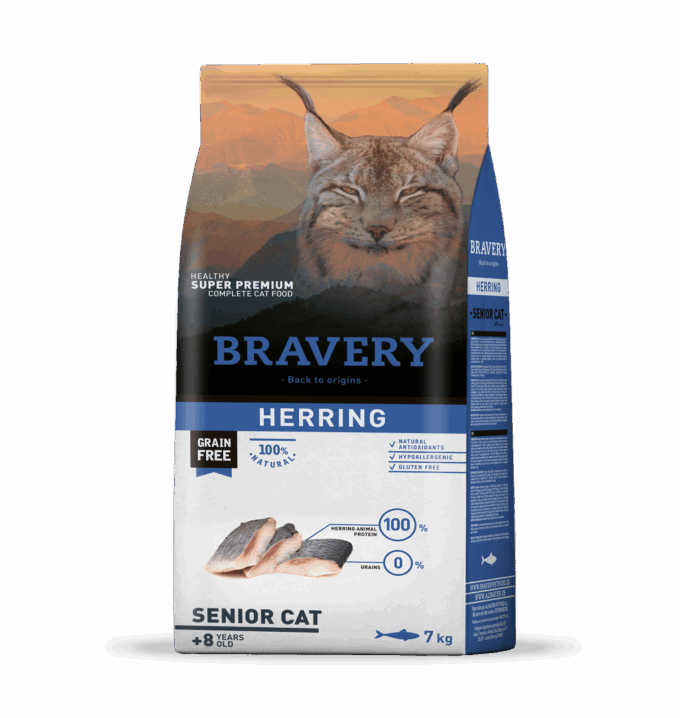 Bravery herring senior