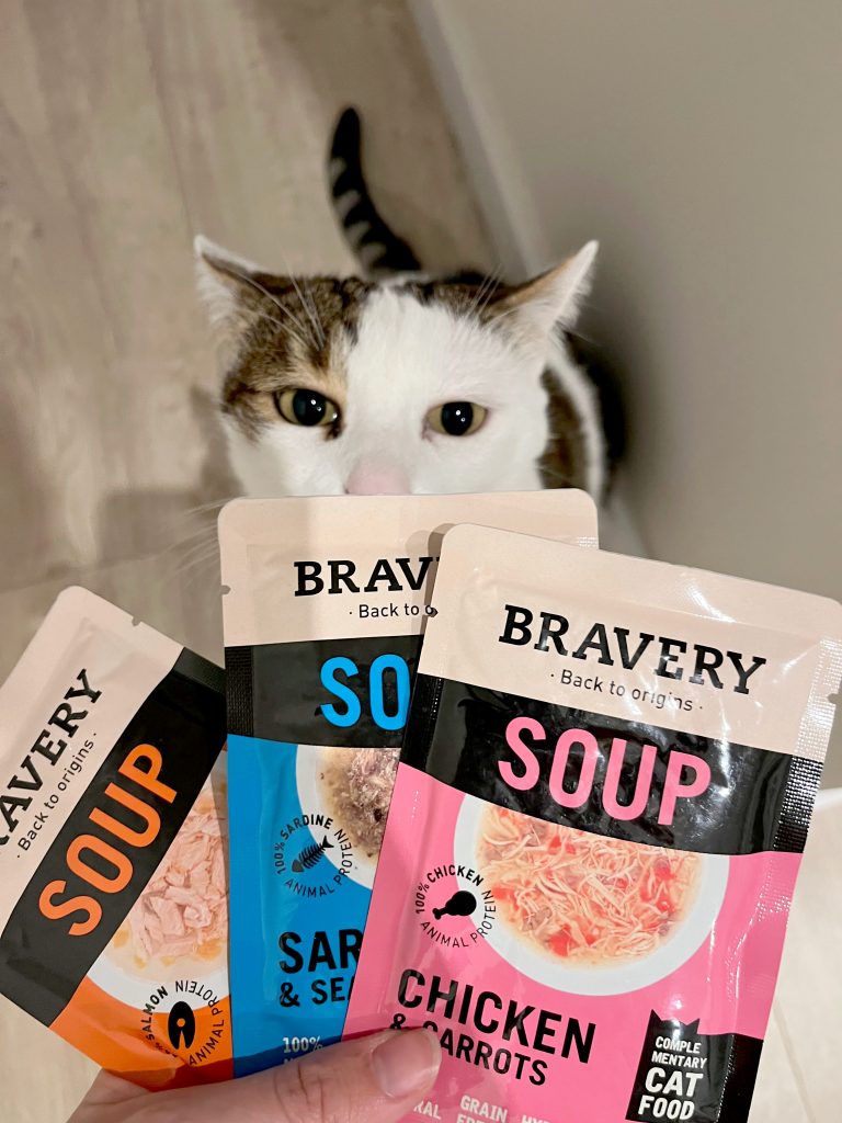 gato y bravery